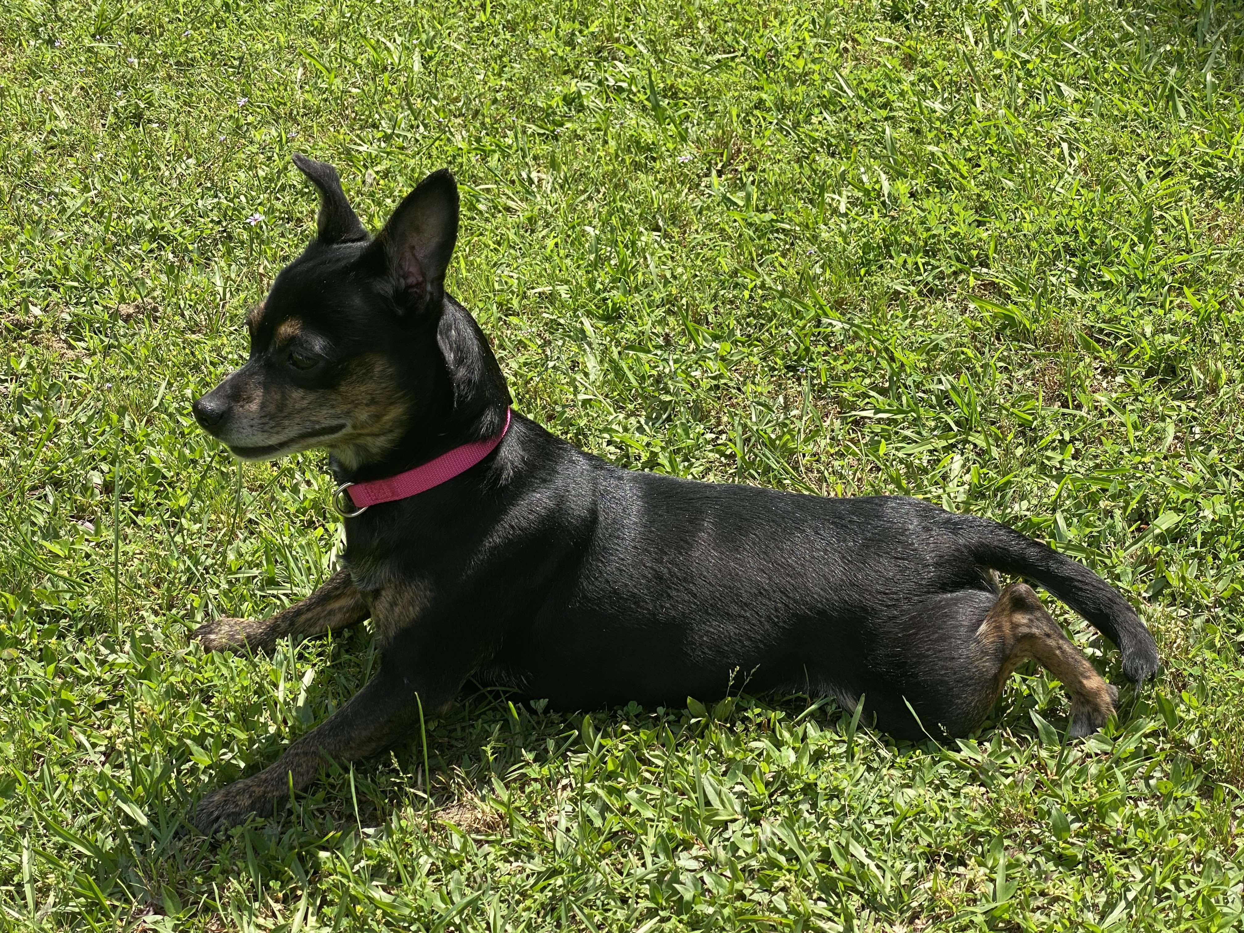 Elvira photo 5