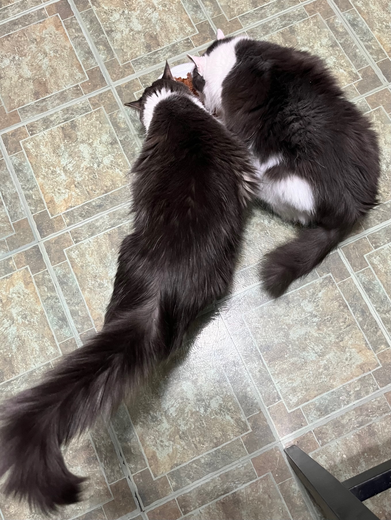 Buddee & Kyng thumbnail 2