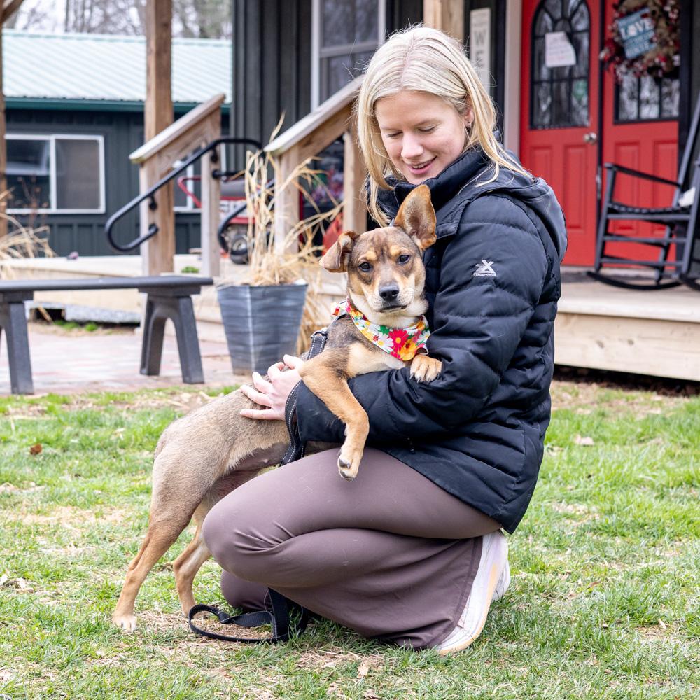 Enlarge Tofu  (Female)   Avail 3/28, an adopted mixed breed in West Grove, PA image 2/6