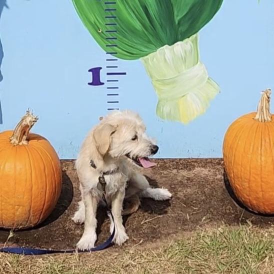 Edyn — thumbnail 2