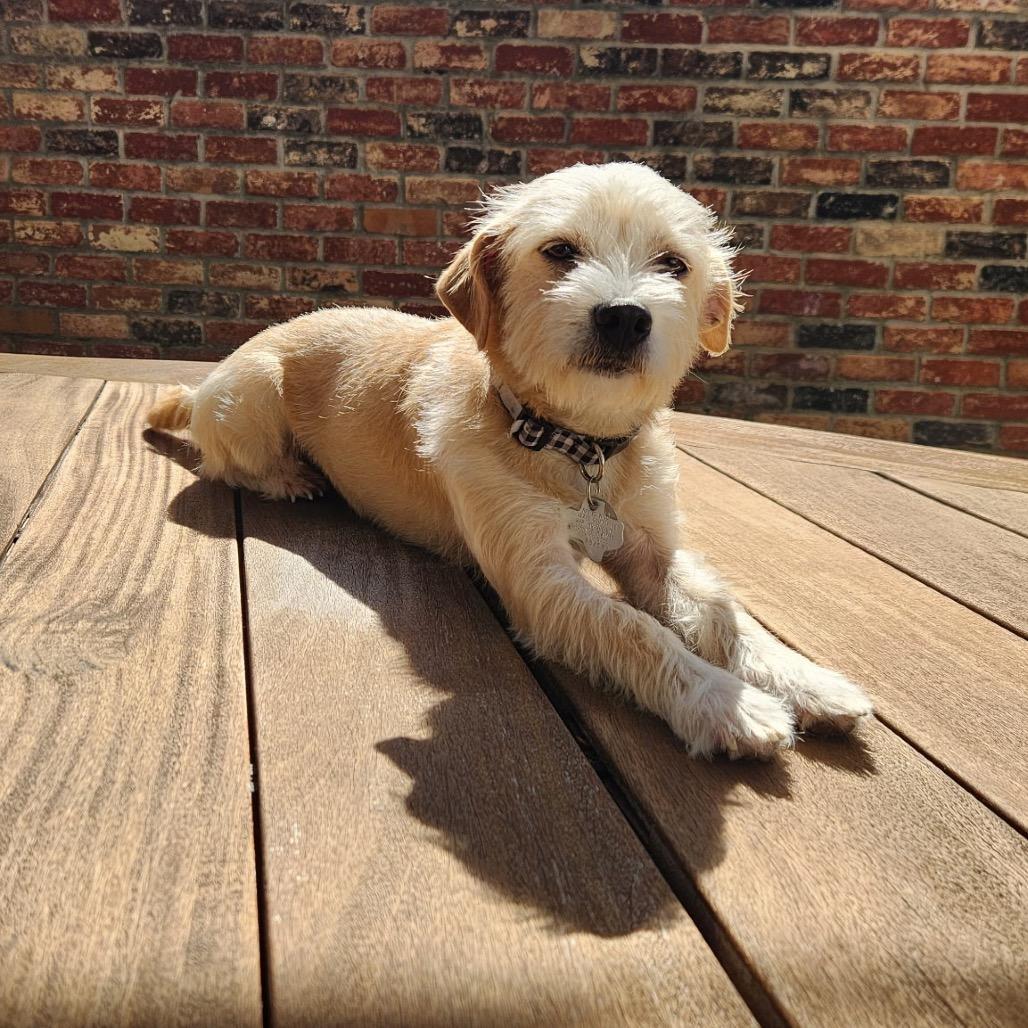 Edyn — thumbnail 4