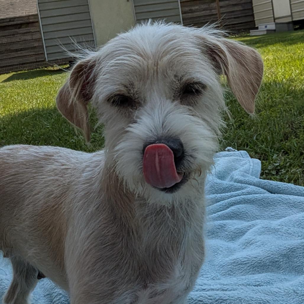 Edyn — thumbnail 5