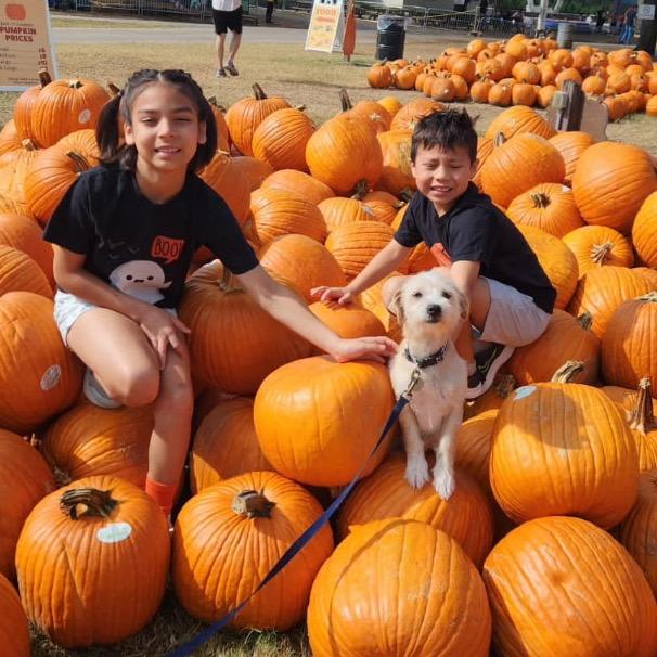 Edyn — thumbnail 6