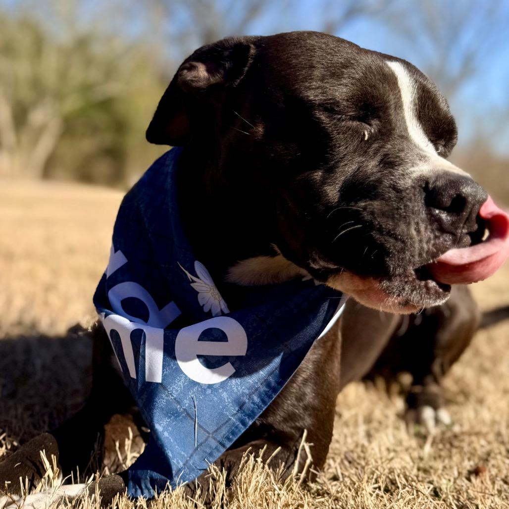 Coast — thumbnail 5