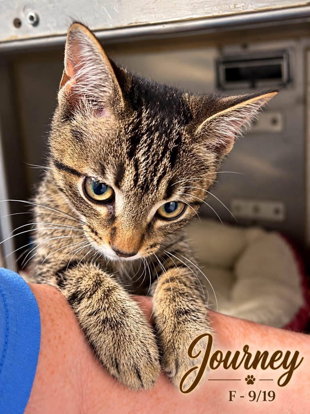Journey photo