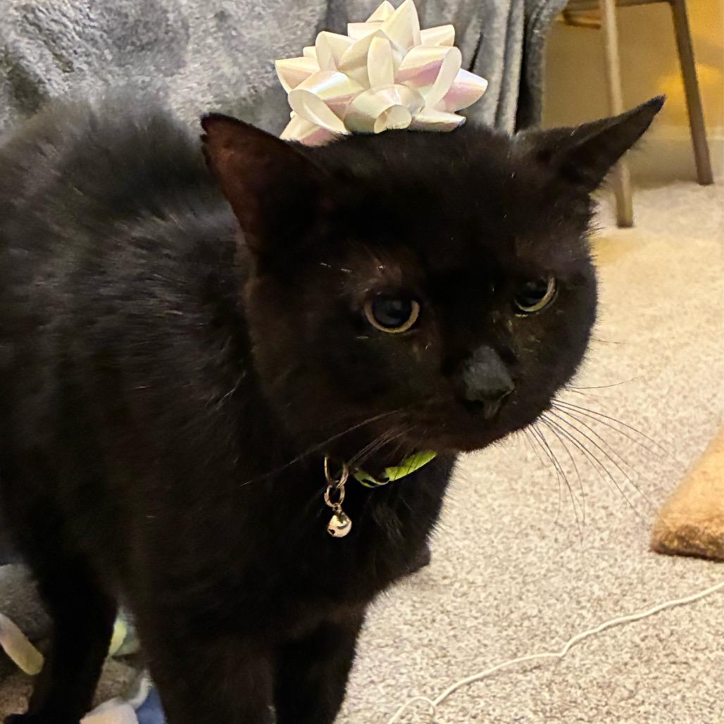 August — thumbnail 2