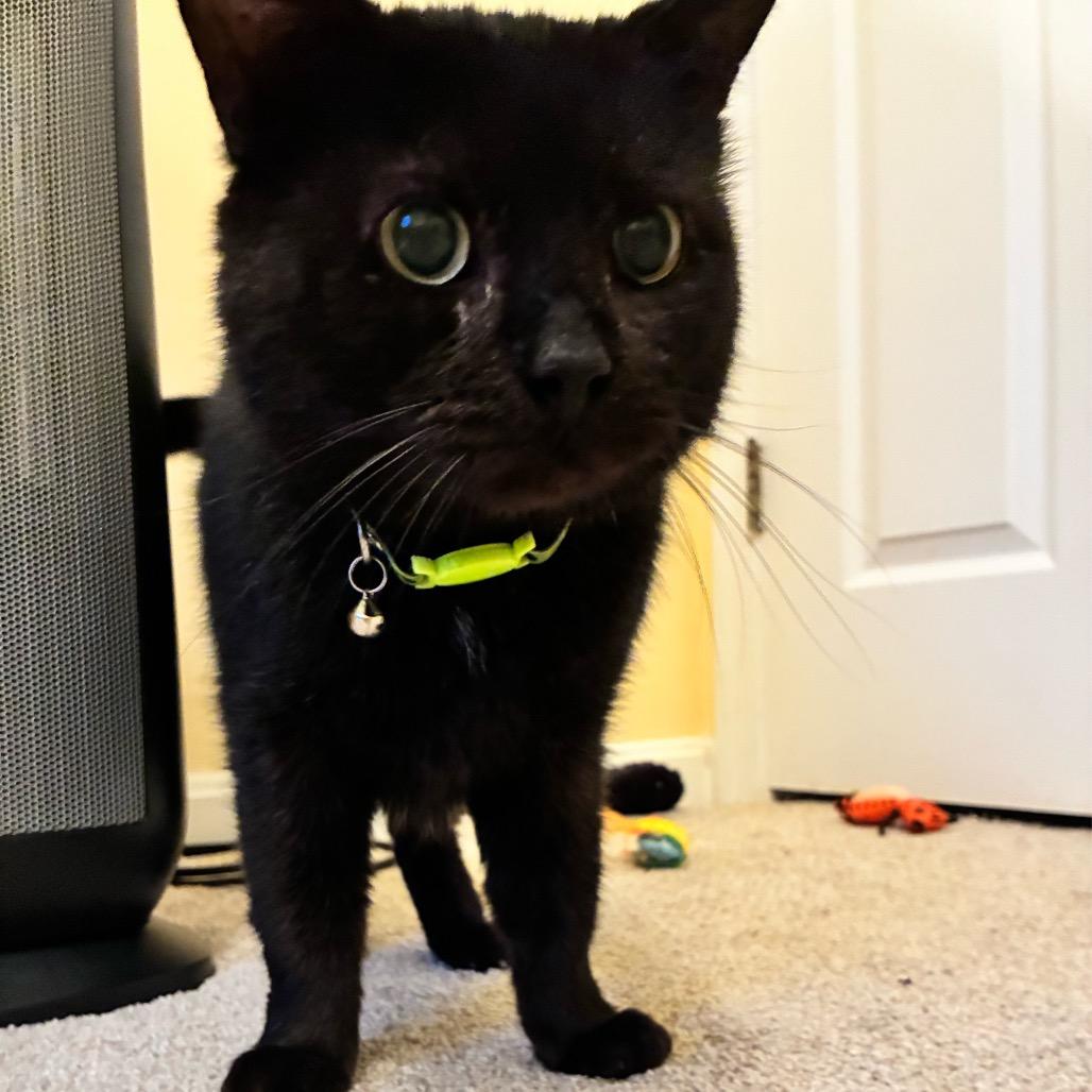 August — thumbnail 3