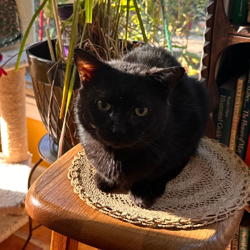 August — thumbnail 4