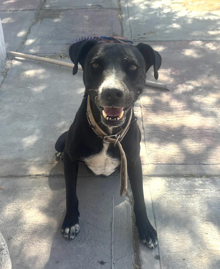 Vader — thumbnail 3