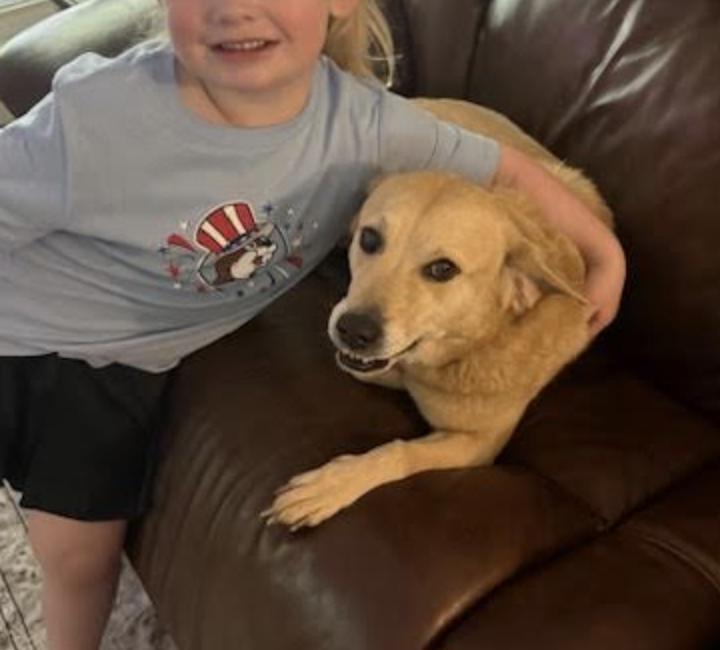 Enlarge Daisy, an adopted mixed breed in Hixson, TN image 3/3