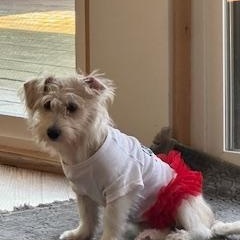 Princess