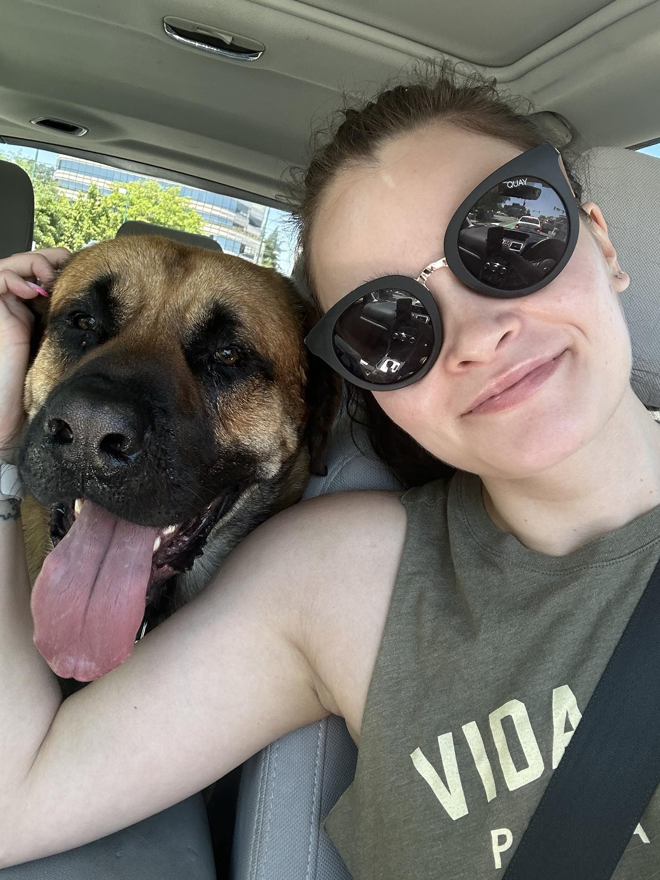 Reggie, a Adopted Mastiff in Kensington, CA image 5/6