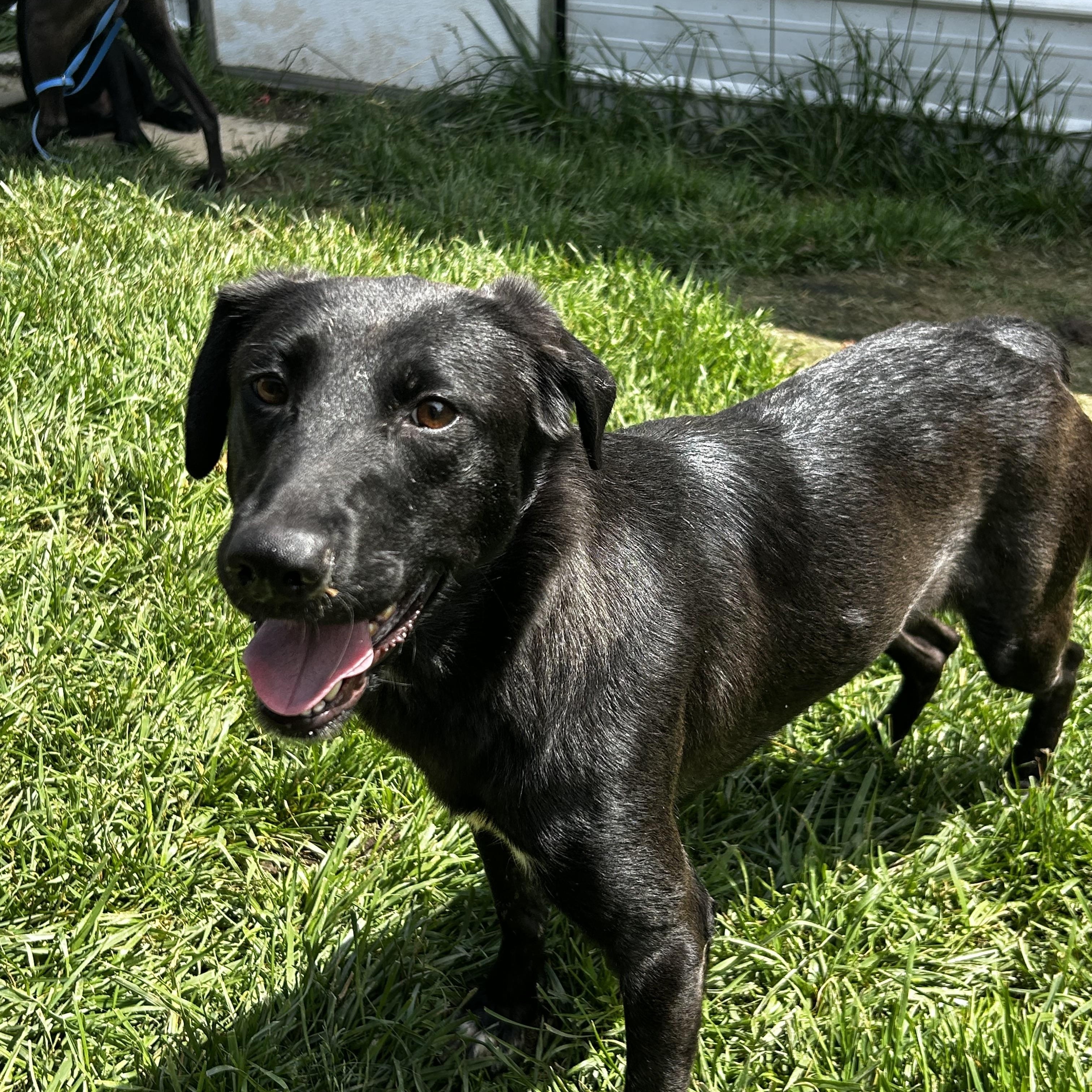 Missy photo 5