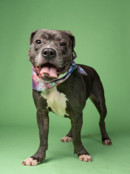 Snowbank — thumbnail 2