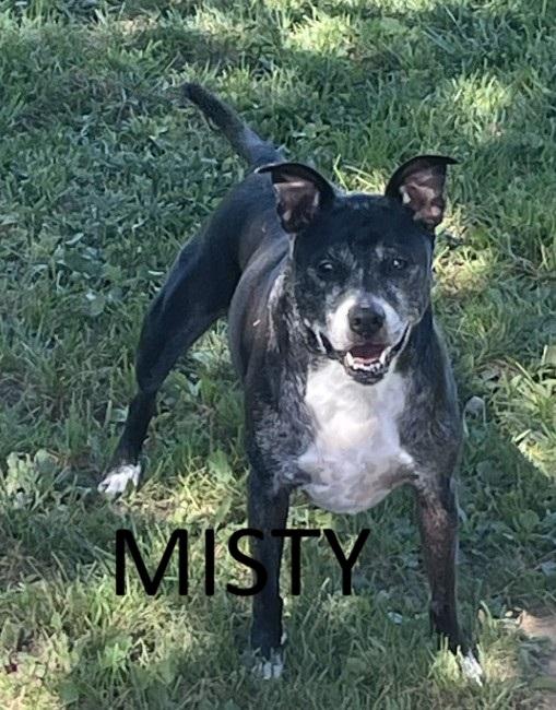 Misty