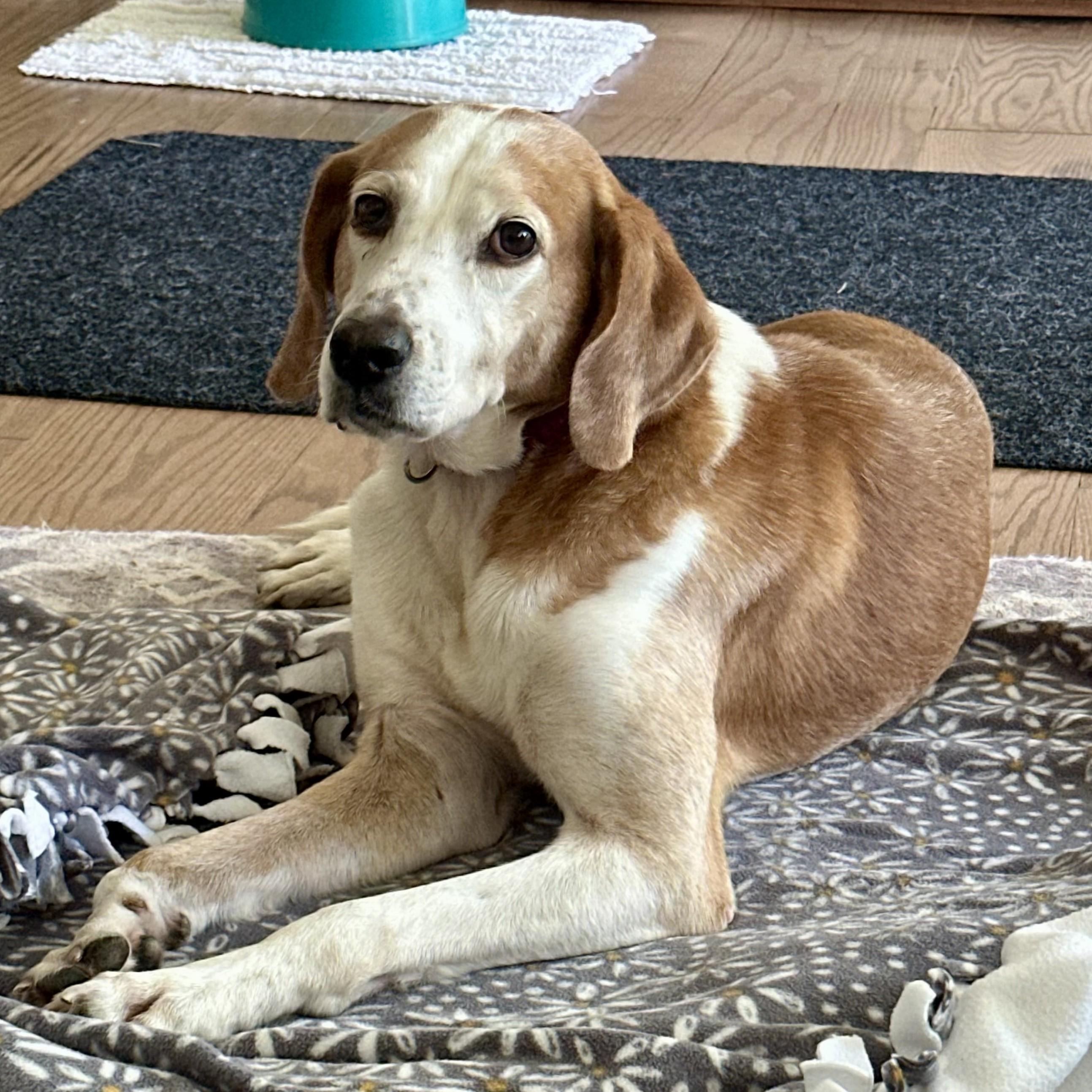 Jackson — thumbnail 2