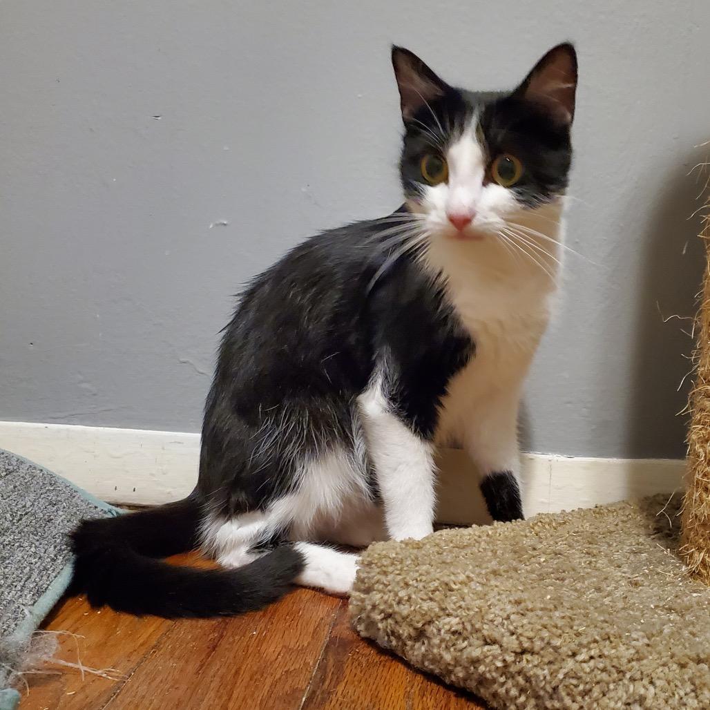 Etta — thumbnail 5