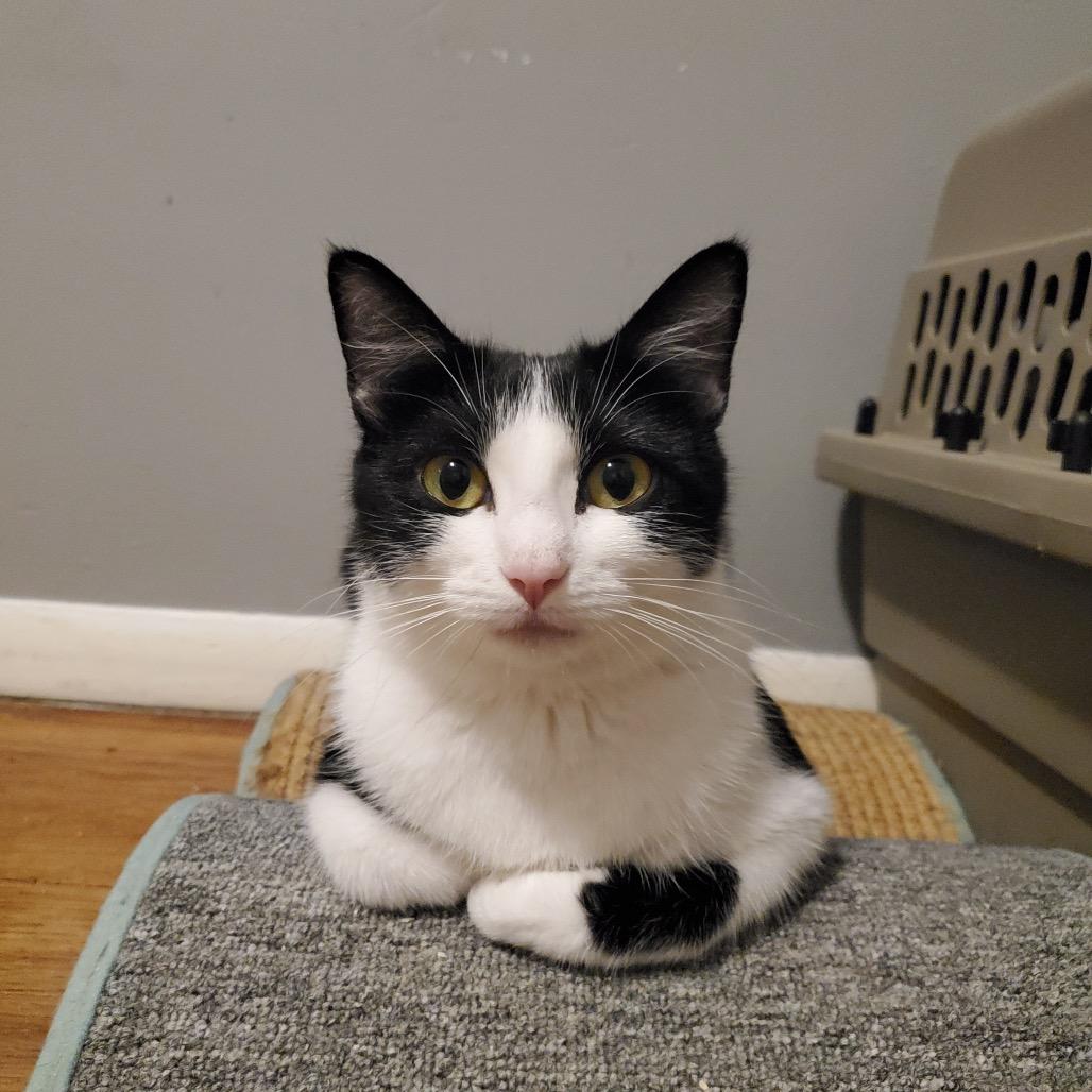 Etta — thumbnail 6