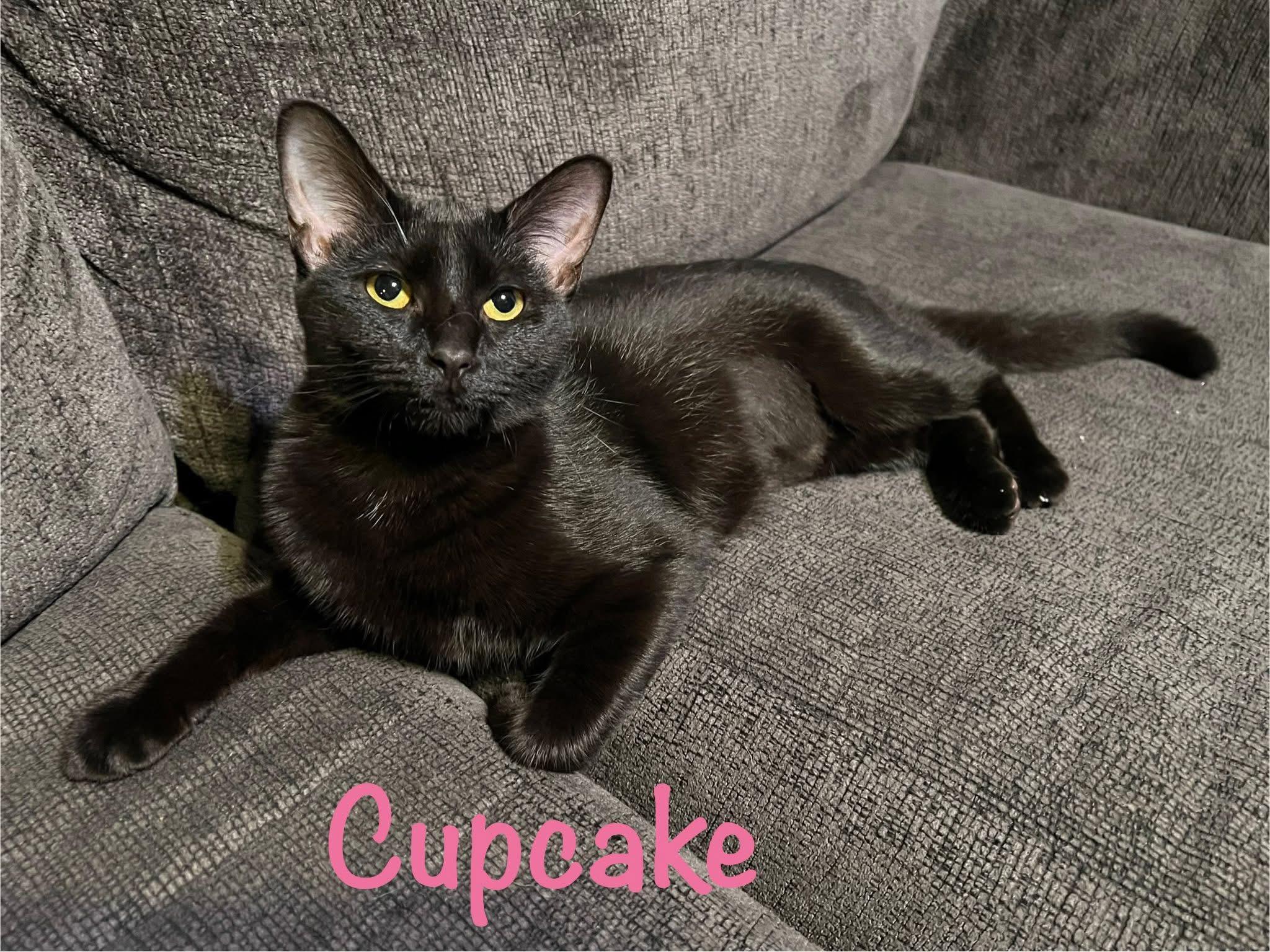 Cupcake