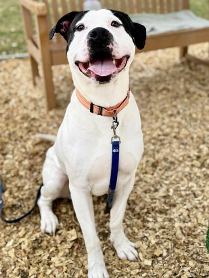 Fonz — thumbnail 2