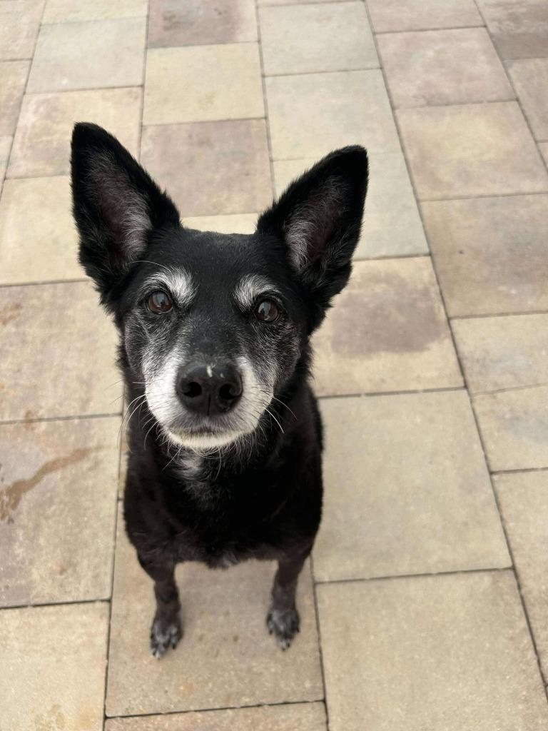 Milah — thumbnail 2