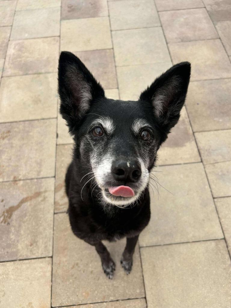 Milah — thumbnail 3