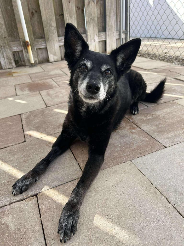 Milah — thumbnail 5