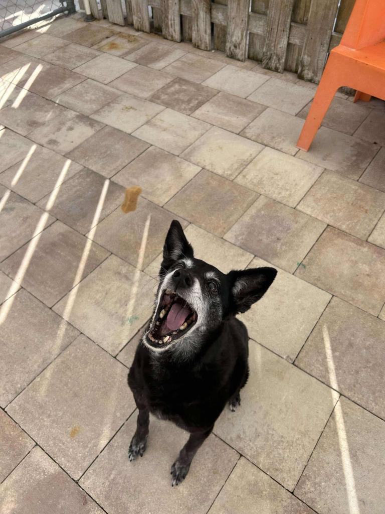 Milah — thumbnail 6