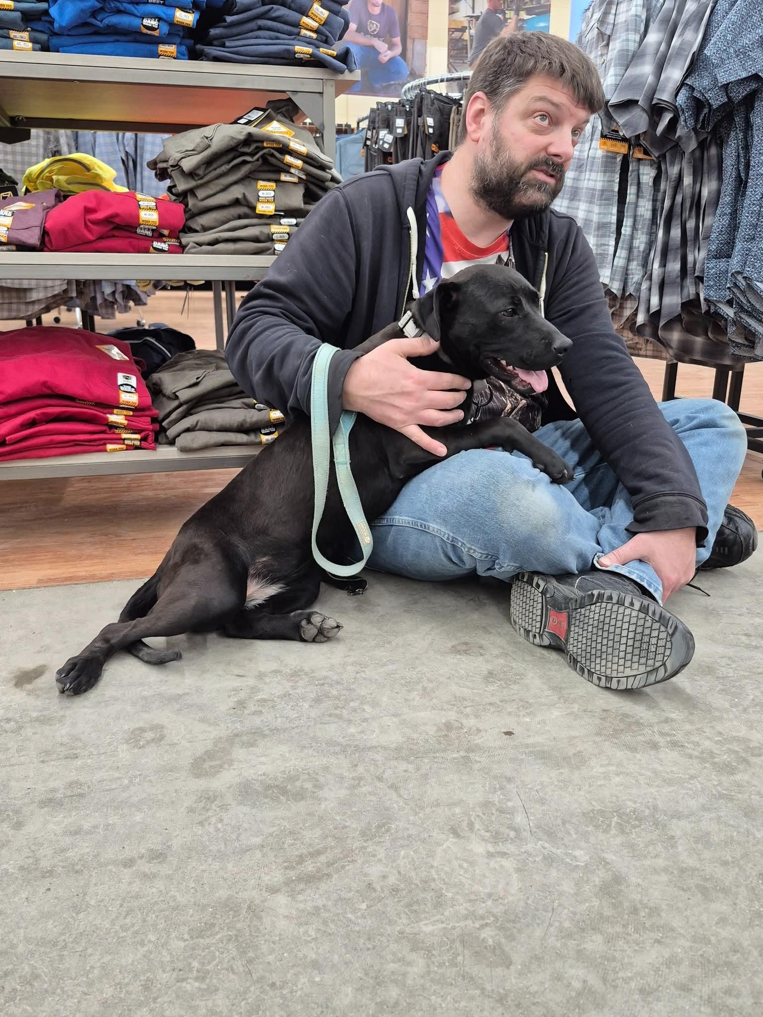 Enlarge June , a ADOPTABLE mixed breed in LaGrange, IN image 5/6