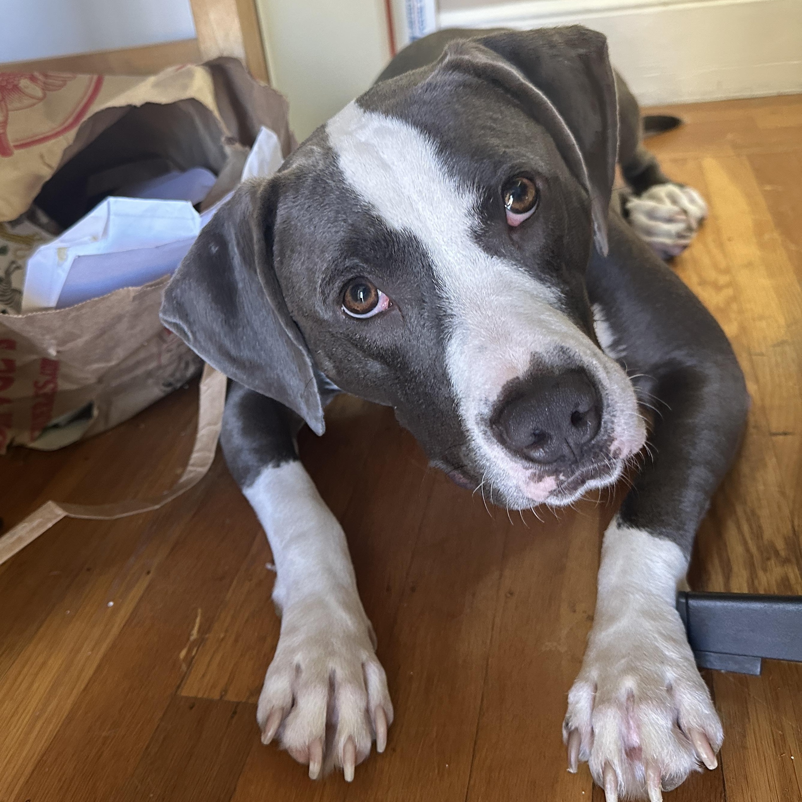 Radar