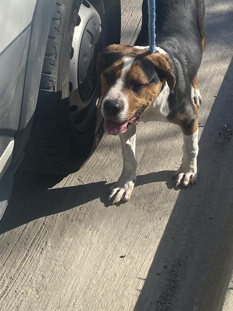 POSEIDON — thumbnail 2