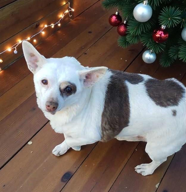 Spud — thumbnail 5