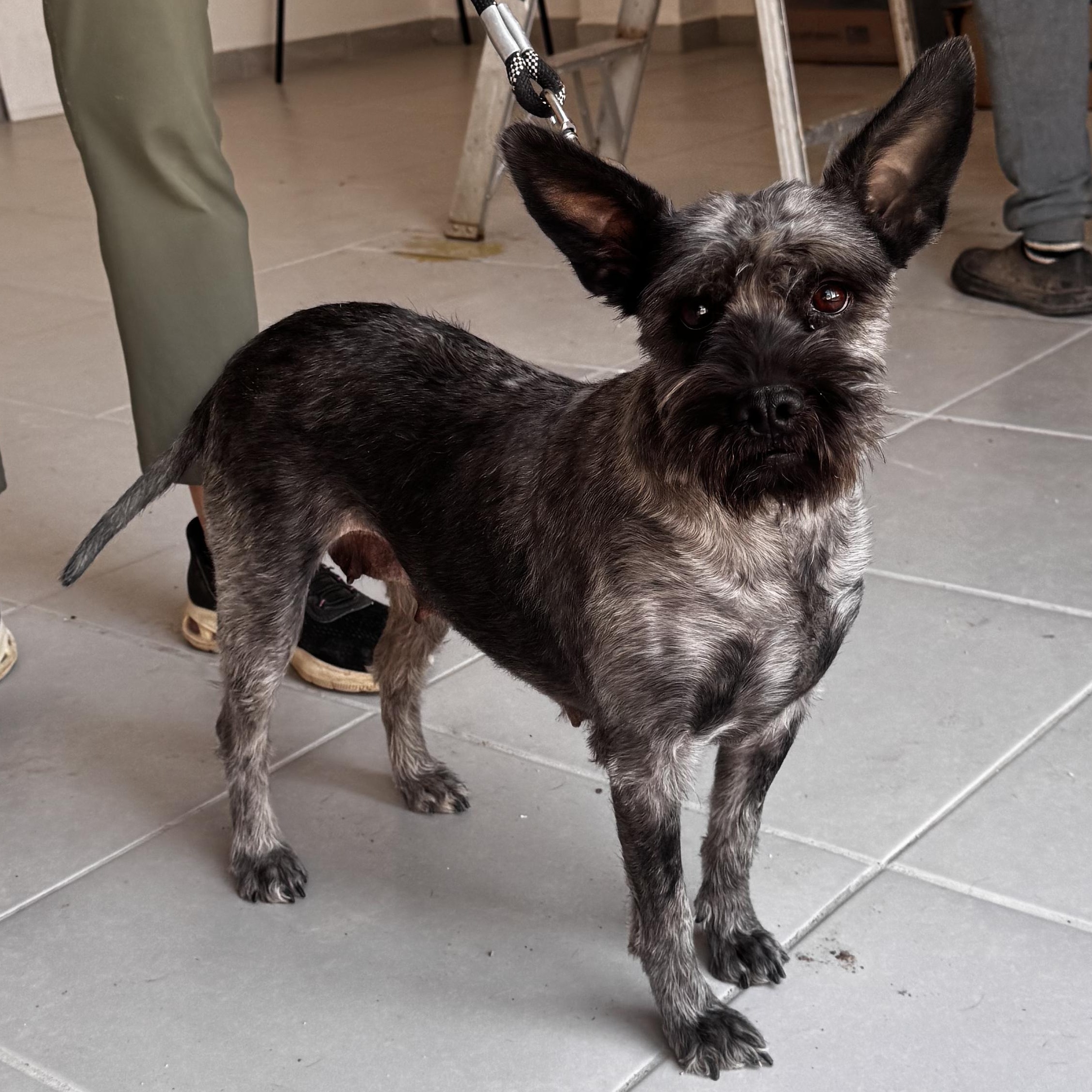 Matilda — thumbnail 3