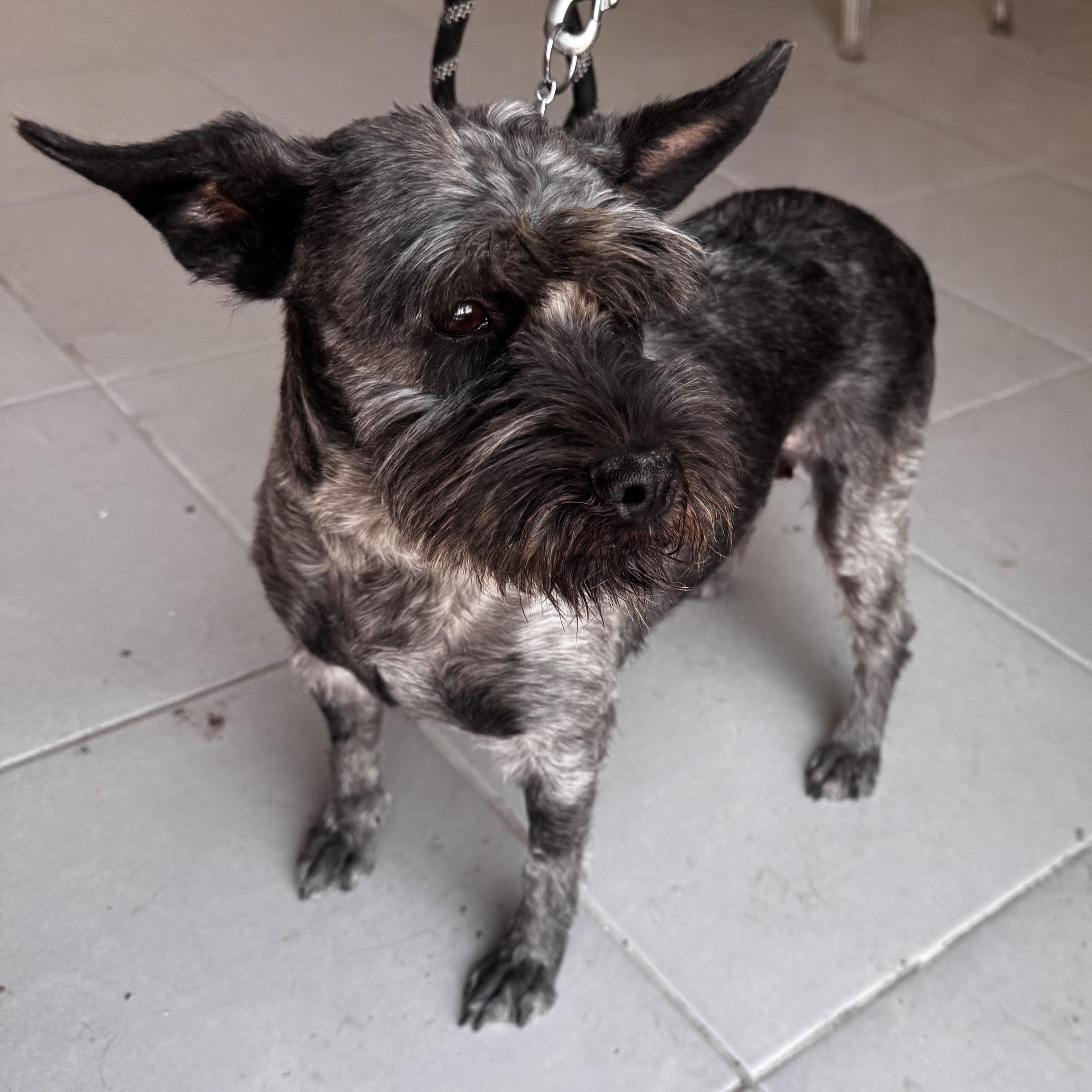 Matilda — thumbnail 5