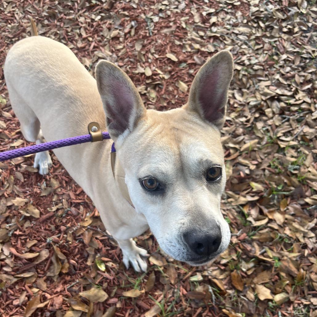 Hope — thumbnail 2