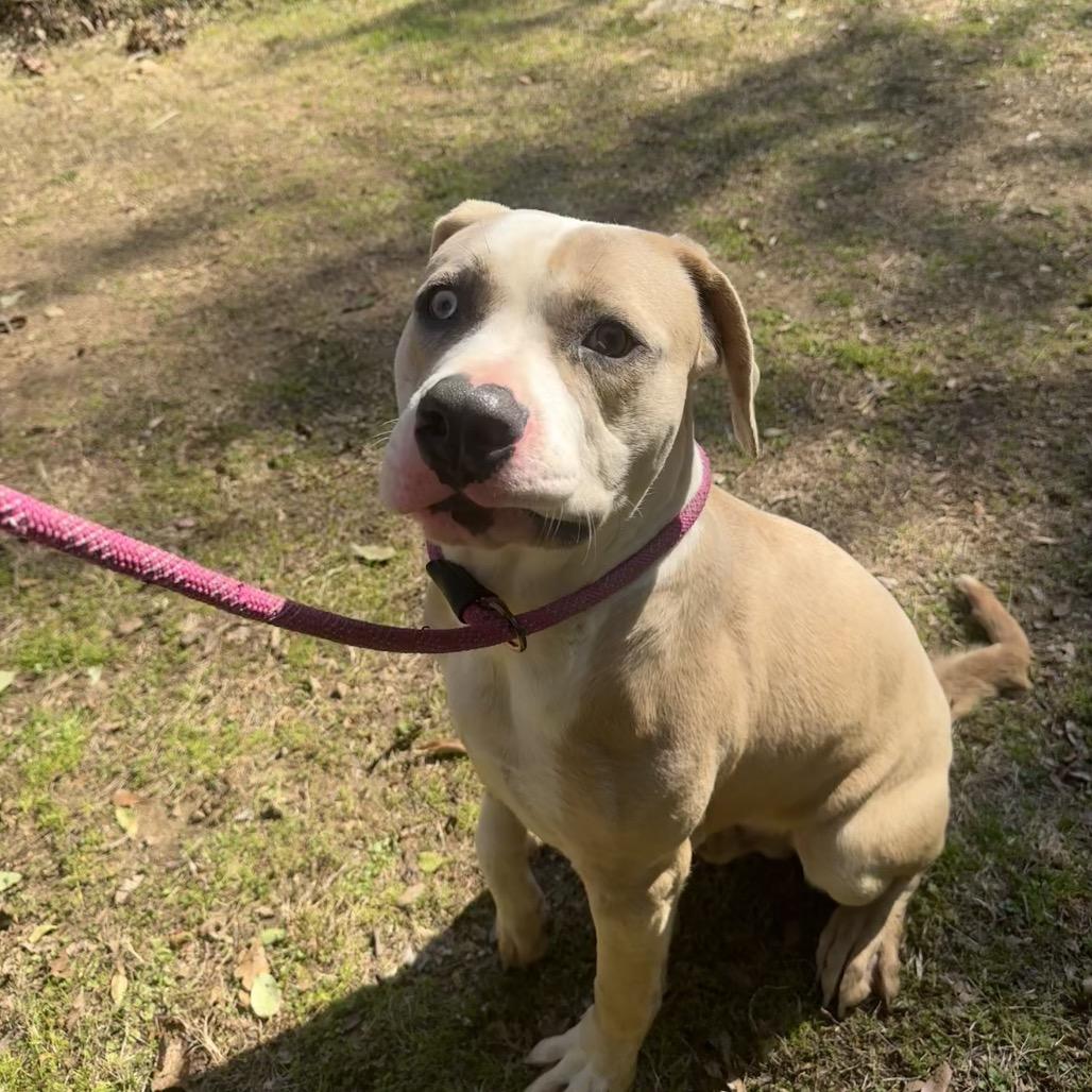 Funky Town 5528 — thumbnail 2