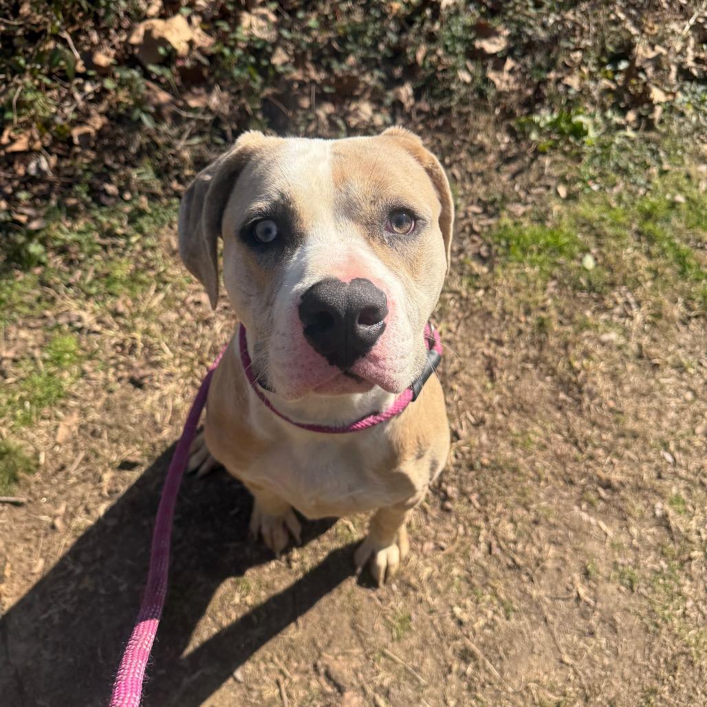 Funky Town 5528 — thumbnail 3