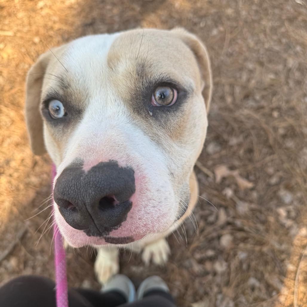 Funky Town 5528 — thumbnail 4