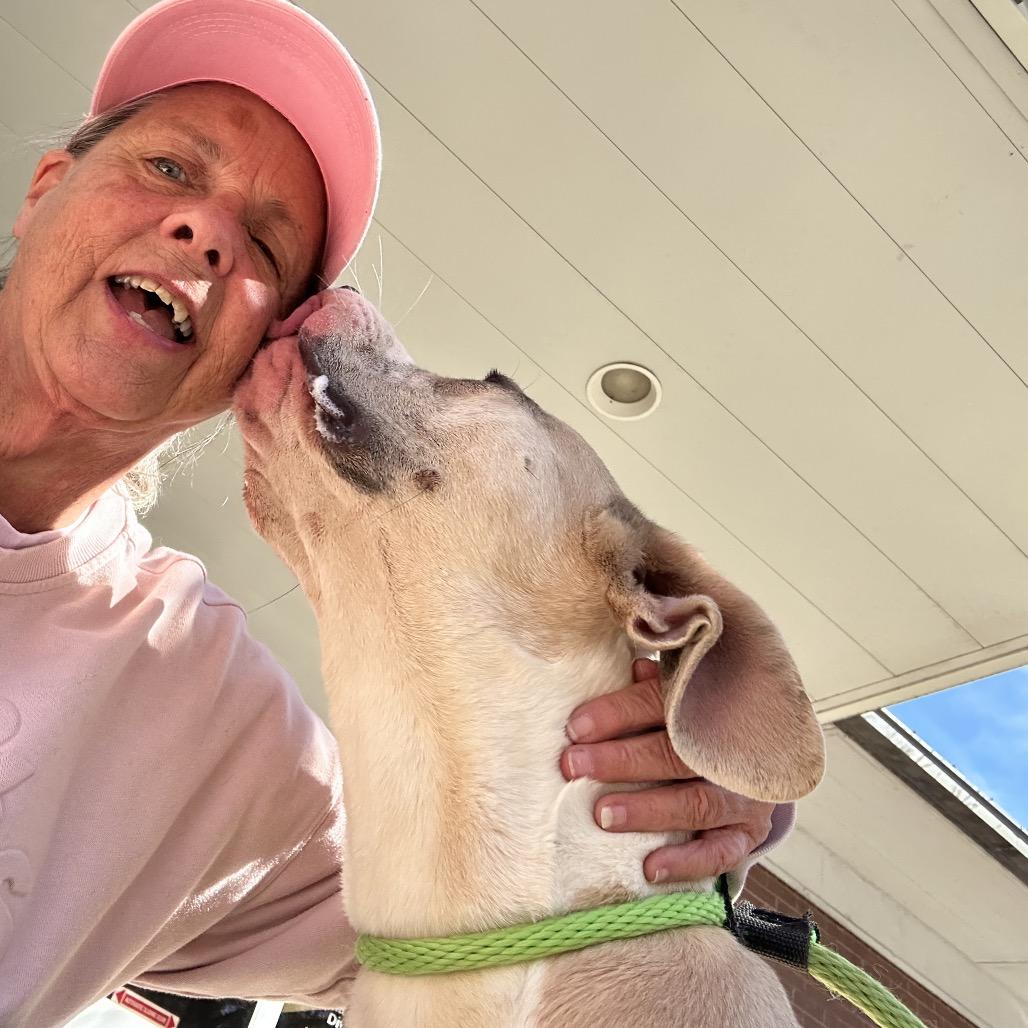 Funky Town 5528 — thumbnail 5