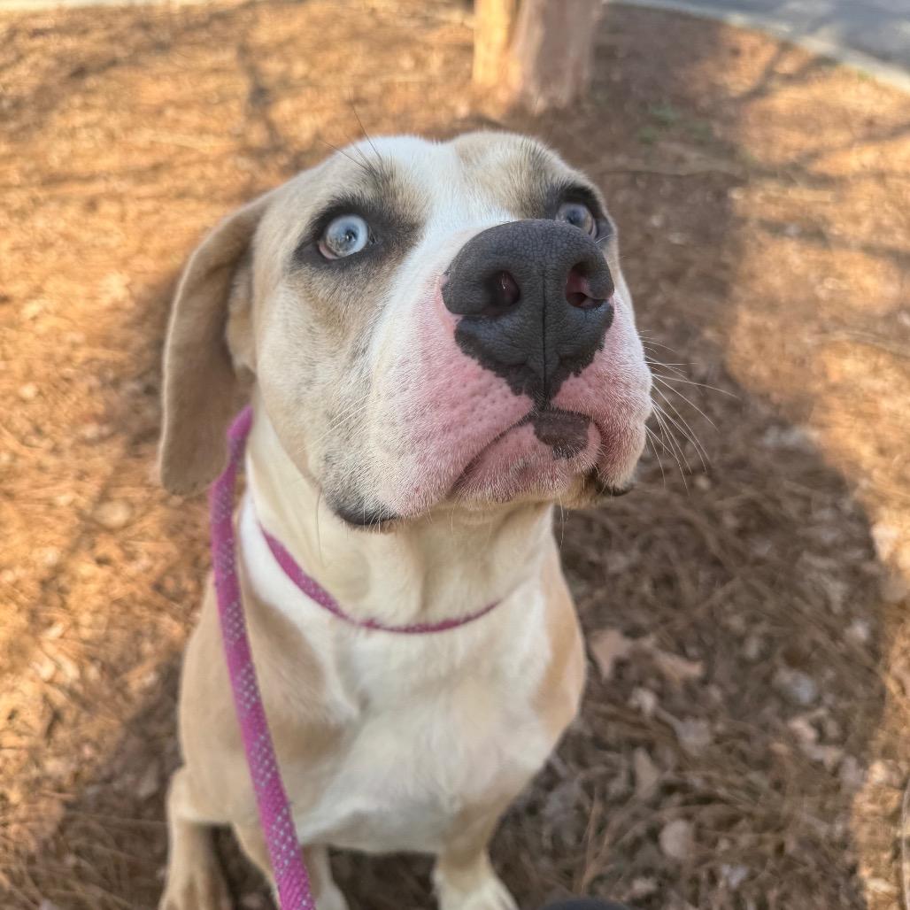 Funky Town 5528 — thumbnail 6