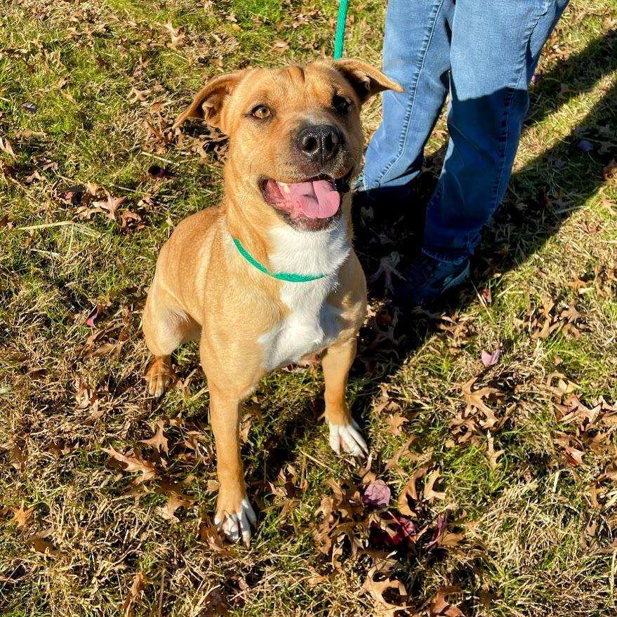 Honey — thumbnail 6