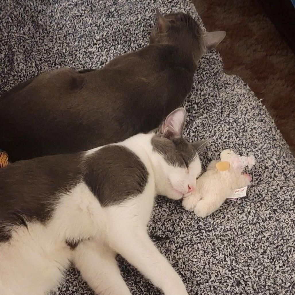 Zack — thumbnail 4