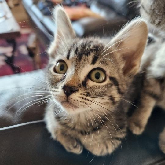 Winona — thumbnail 3