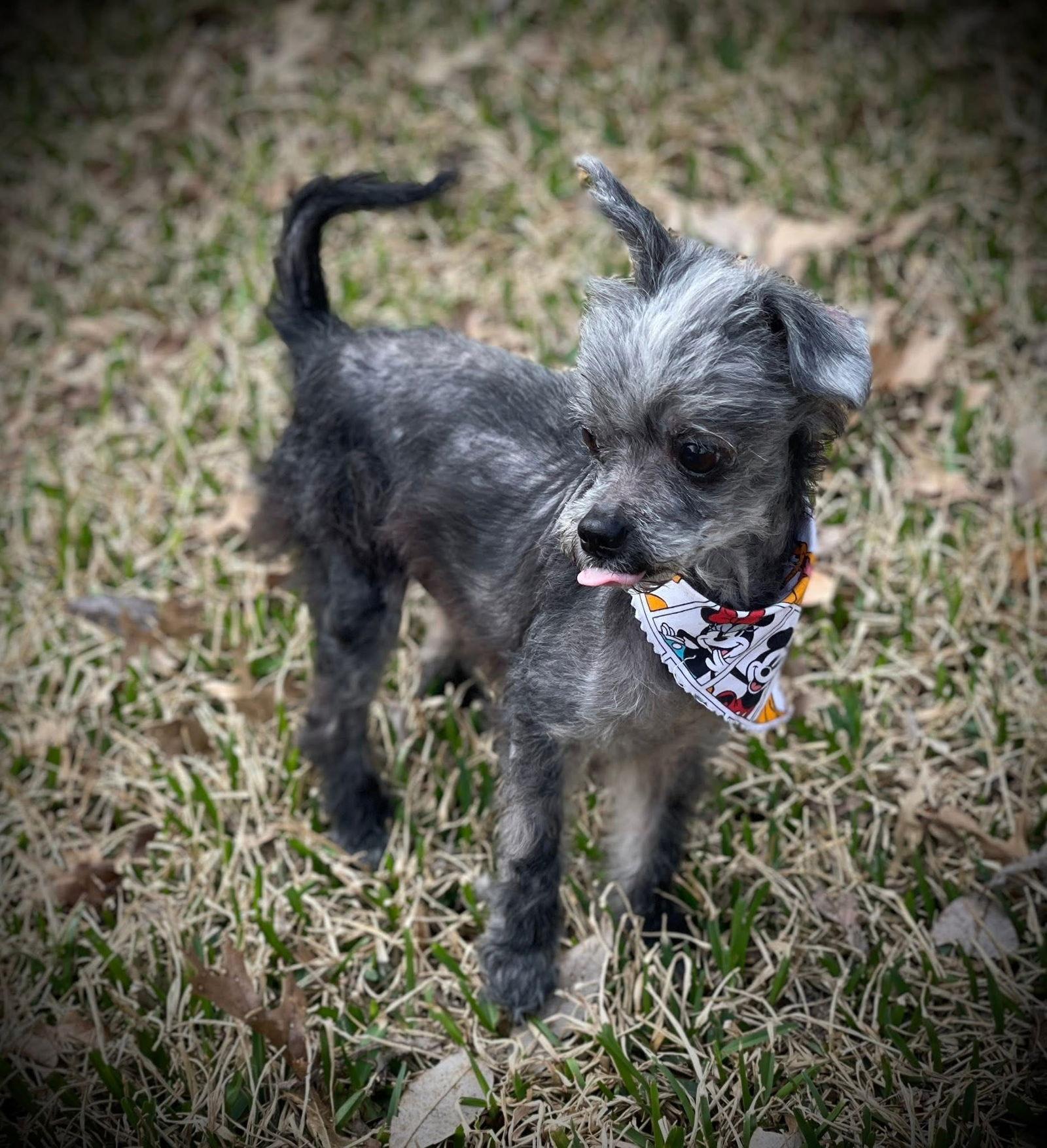 Otis Gatlin — thumbnail 2