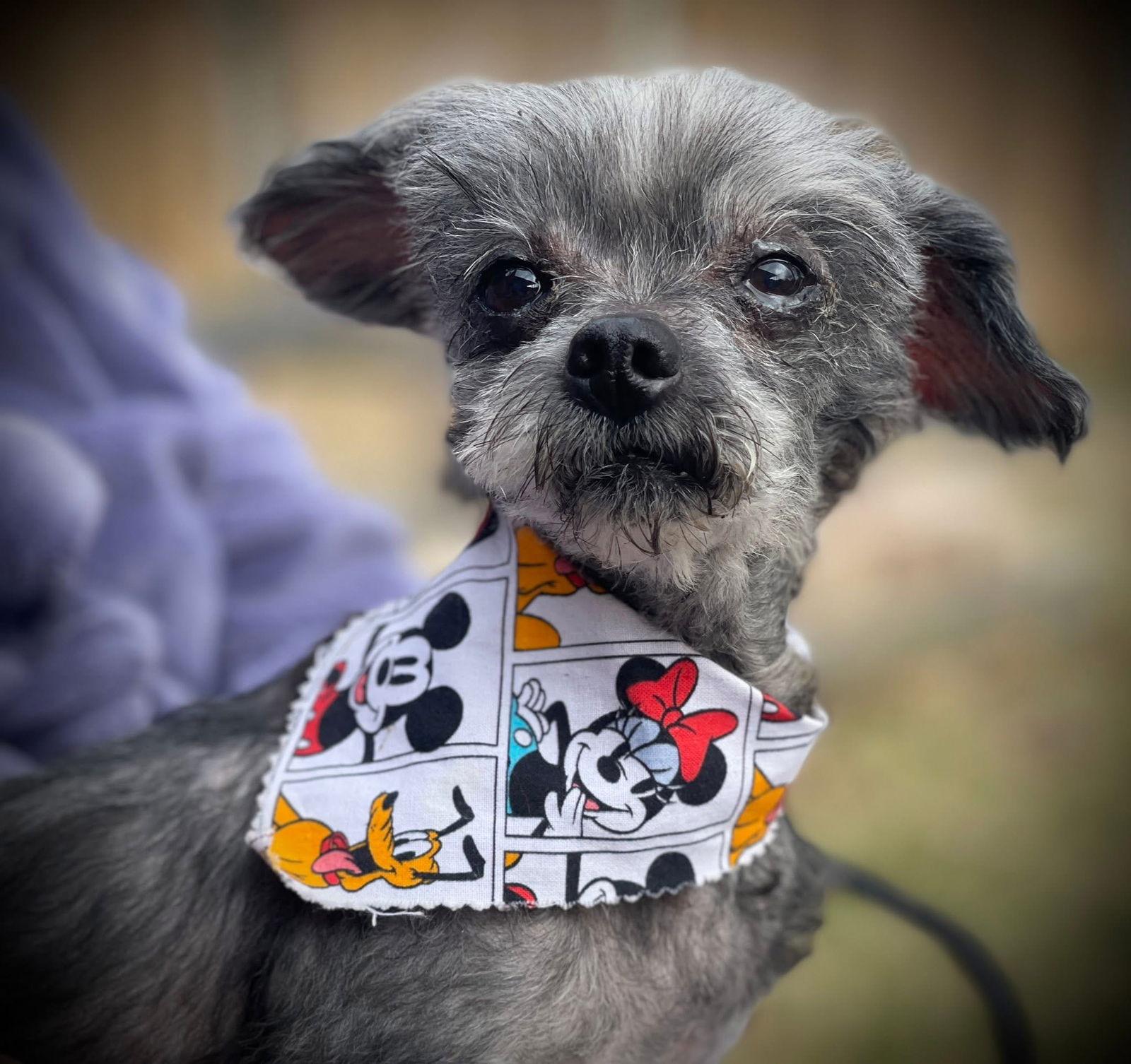 Otis Gatlin — thumbnail 3