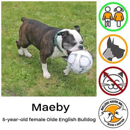 MAEBY - pending