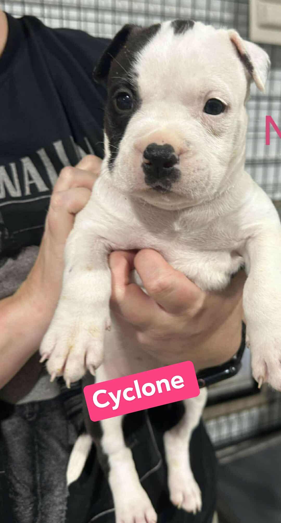 Cyclone thumbnail 2