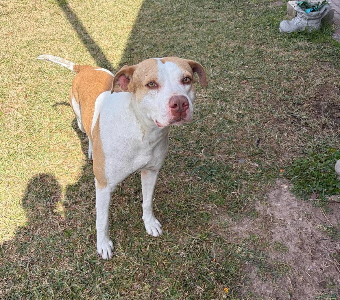 Shawn — thumbnail 2