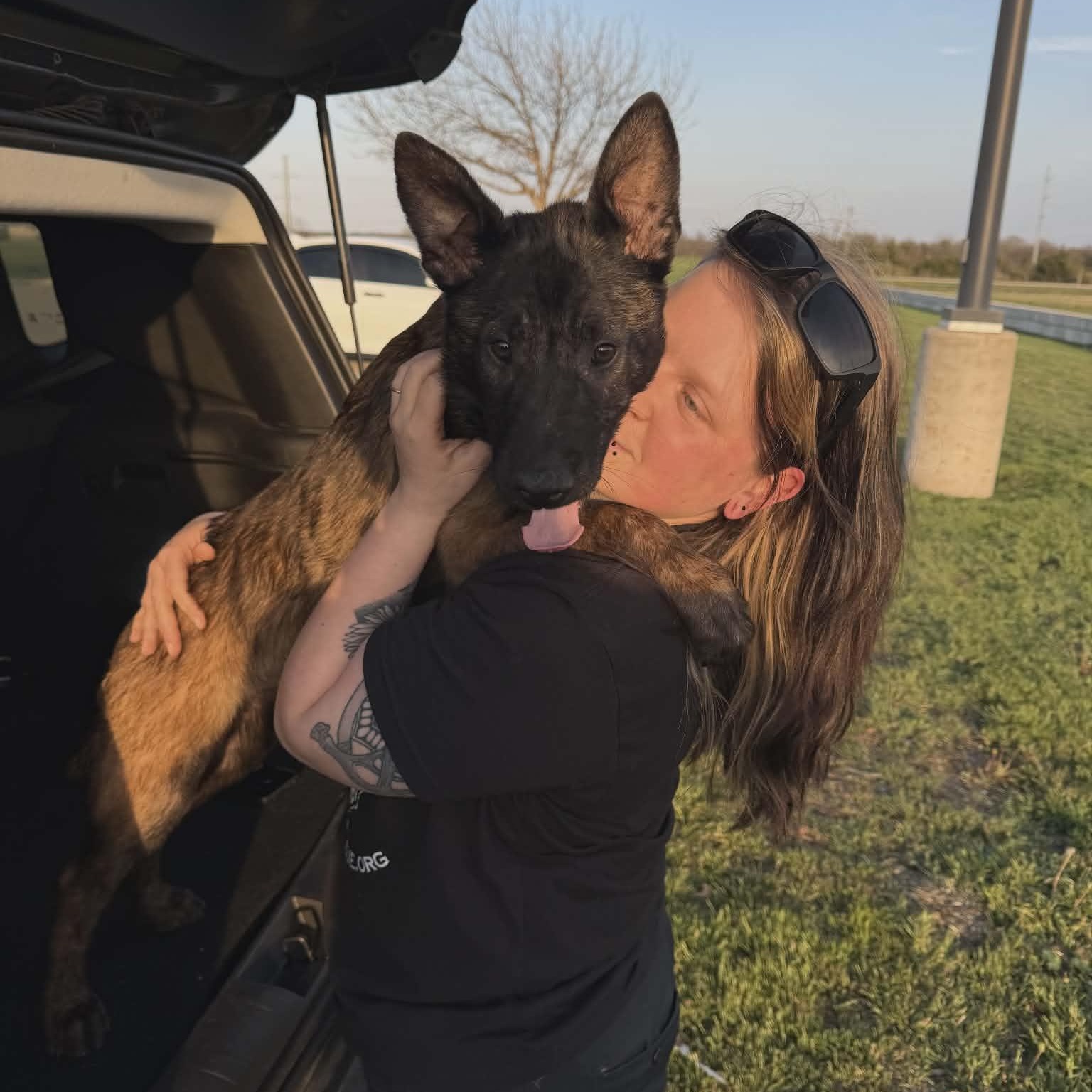 Enlarge Major, an adopted mixed breed in Lockhart, TX image 4/6