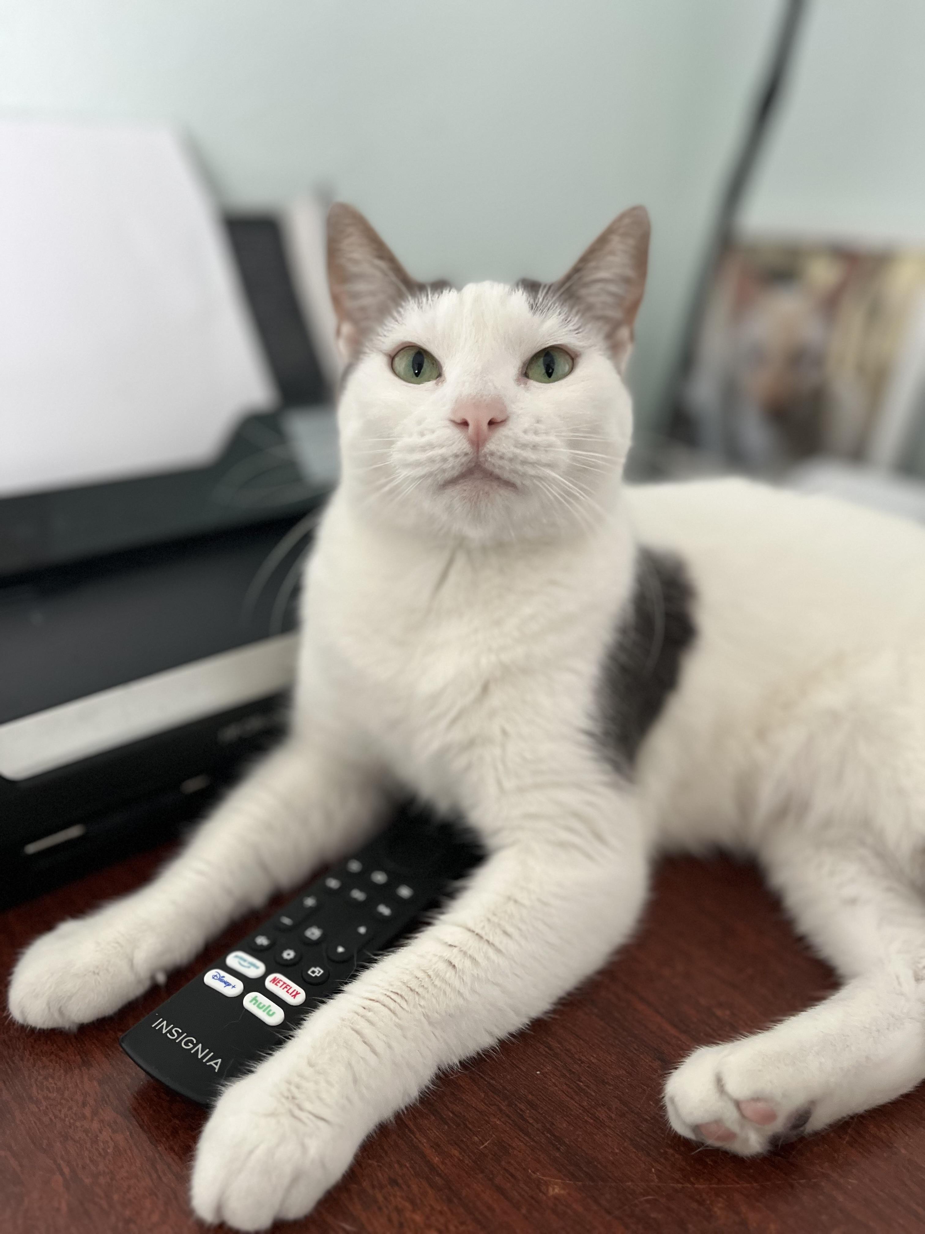 EMILY - WITH EMERALD EYES 3